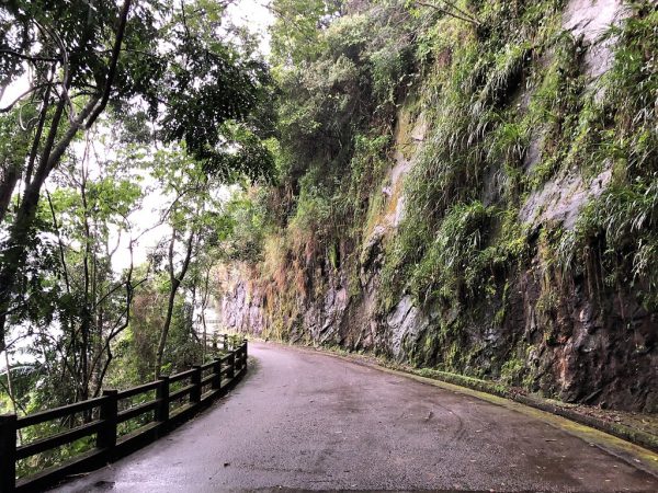 Praias & Floresta da Tijuca – Rio de Janeiro
